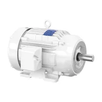 Baldor CEWDM2280T