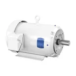 Baldor CEWDM23933T-5