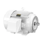 Baldor CEWDM4313T
