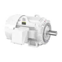 Baldor CEWDM4419T