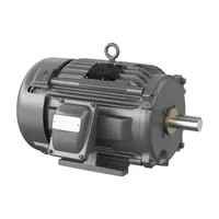 Baldor CPX21366T