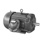 Baldor CPX25166T