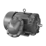 Baldor CPX28326T