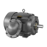 Baldor CPX36646T