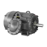 Baldor CPX44166T