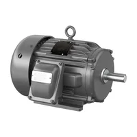 Baldor DRX18544T-5