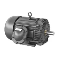 Baldor DRX251524T-5