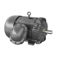 Baldor DRX32544T-5