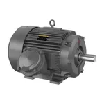 Baldor DRX36644T-5