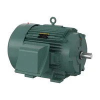 Baldor ECP4313T