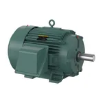 Baldor ECP84312T-4
