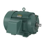 Baldor ECP84313T-4