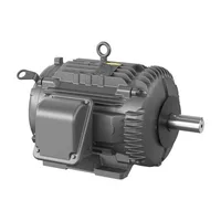 Baldor ECTM4100T-G-AO