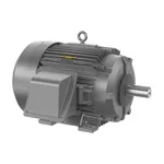 Baldor ECTM4312T-G