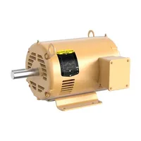 Baldor EFM3211T-G