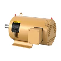 Baldor EFM3219T