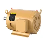 Baldor EFM3312T