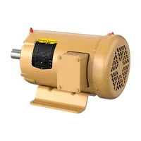 Baldor EFM3610T