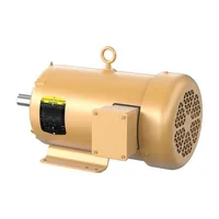 Baldor EFM3616T-G