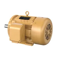 Baldor EFM4102T