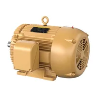 Baldor EFM4114T
