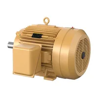 Baldor EFM4314T