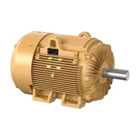 Baldor EFM4404T