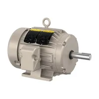 Baldor EGDM3665T