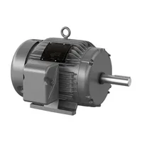 Baldor EGDM3774T