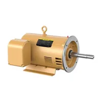 Baldor EJPM2534T