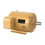 Baldor EM2543T-BG