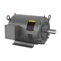 Baldor EM3311T-58