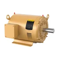 Baldor EM3313T-58