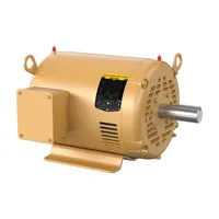 Baldor EM3309T-BG