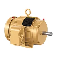 Baldor EM3583T-BG