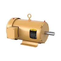 Baldor EM3611T-BG