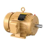 Baldor EM3661T-BG