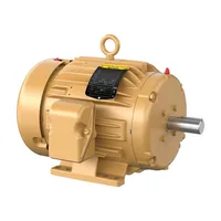Baldor EM3663T-BG