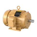 Baldor EM3667T-G