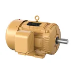 Baldor EM4100T-BG