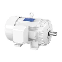 Baldor EWDM4109T