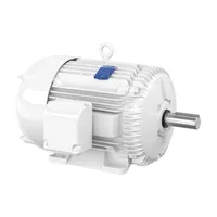 Baldor EWDM4116T