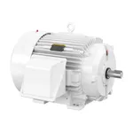 Baldor EWDM4313T