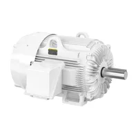 Baldor EWDM4419T