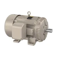 Baldor FDEM4109T