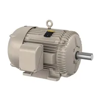 Baldor FDEM4115T
