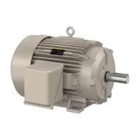 Baldor FDEM4314T