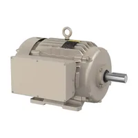 Baldor FDL1177T
