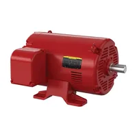Baldor FPM2555TS-5