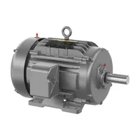 Baldor GNEM2333T-G